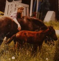 Die jugendliche Birgit lehnt sich über den Rücken der Ponystute Mary um deren Fohlen, welches im hohen Gras frisst, Kontakt anzubieten.
